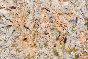 Colorful cliff background texture.