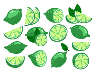 Cartoon hand drawn doodle modern style lime. Green citrus half, whole, cut fruit isolated on white background set. Modern style flat cartoon graphic illustration