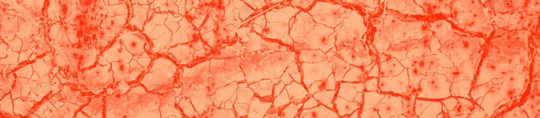 abstract live coral color background for design