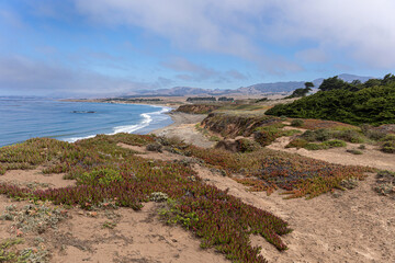 view of the coast of Cambria, California