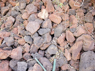 red rocks