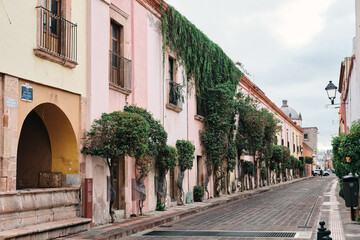 Fototapeta na wymiar Calle con plantas verdes del centro histórico de la Ciudad de Querétaro colonial