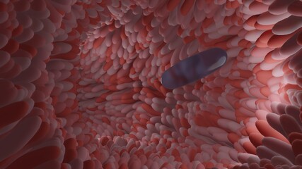 A blue transparent soft gelatin capsule is swallowing through intestine tract (3D Rendering)