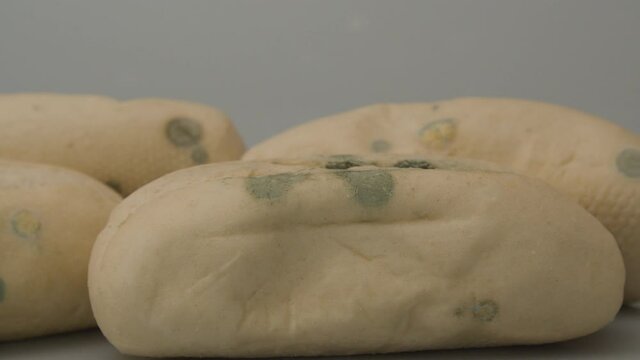 Fungal mold spots on several pistolet breads against a white background
