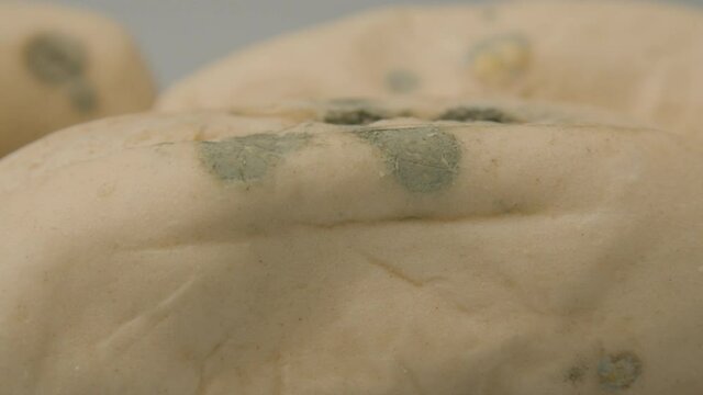 extreme close of Fungal mold spots on several pistolet breads against a white background