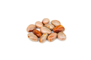 Jackfruit seeds isolated on white background.