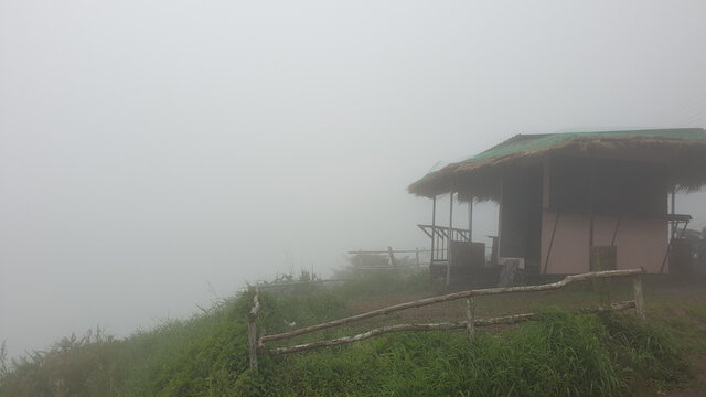 morning in the fog