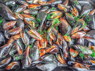 Marinara mussels, moules mariniere, with fresh  dill,garlic,butter and wine