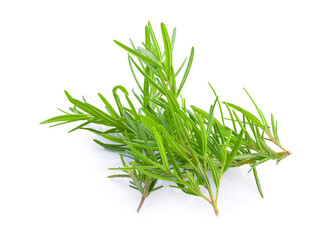 fresh rosemary isolated on white background