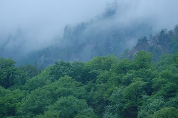The fog in mountains, Caucasus.