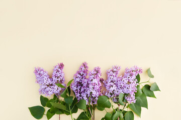 Lilac branches on a yellow background. Spring background mock up, lilac flowers. Top view, copy space.