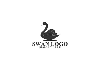 swan logo in white background