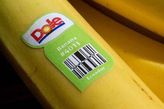 Portland, OR, USA - Apr 28, 2021: Closeup of the Dole Food Company branded sticker seen on fresh bananas imported from Ecuador.