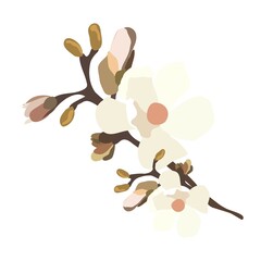 Vintage flower. A branch of a blossoming tree. Flat vector illustration in pastel colors.
