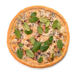 Delicious vegetarian pizza on white background