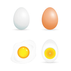 Chicken eggs vector set. White and brown shells. Fried and boiled egg.