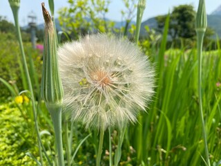 바람