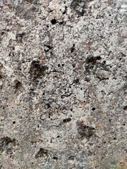 stone wall texture