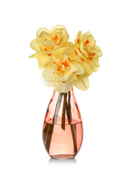 Fototapeta na wymiar Vase with beautiful narcissus flowers on white background