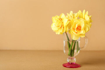 Vase with beautiful narcissus flowers on color background