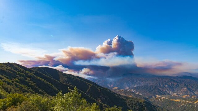 Timelapse - Wildfire Pyrocumulus clouds formation 