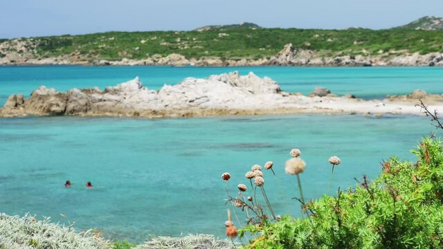 (Selective focus) Stunning view of a coastline bathed by a turquoise, clear sea. Rena Majore is a small seaside village that's located south of Santa Teresa Gallura, Sardinia, Italy.