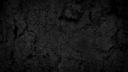 Obraz na płótnie Canvas Black tree bark background Natural beautiful old tree bark texture According to the age of the tree with beautiful bark during the summer 