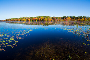 Fall foliage reflecting in water at Goodwin State Forest, Connecticut.