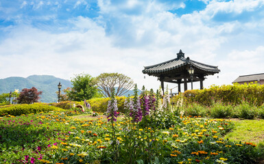 Fototapeta na wymiar 곡성 장미 축제장의 형형색색 아름다운 꽃밭