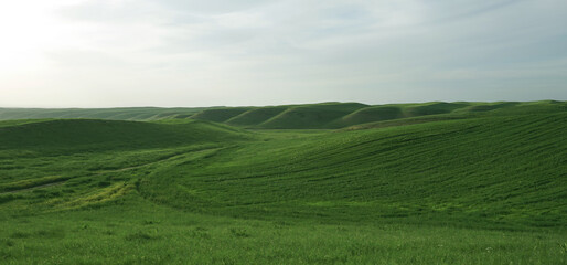 Wide field hills