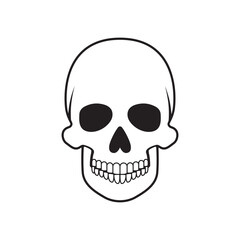 Human skull on a white background. Vector.