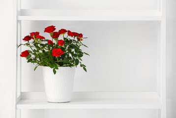 Beautiful red roses in pot on shelf near white wall