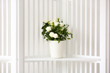 Beautiful white roses in pot on shelf