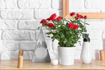 Beautiful red roses in pot and decor on shelf near brick wall