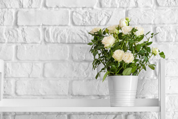 Beautiful white roses in pot on shelf near brick wall