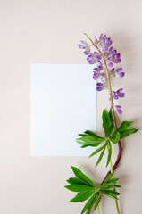 Greeting card, postcard, invitation card mock up on pastel background with violet summer flowers.