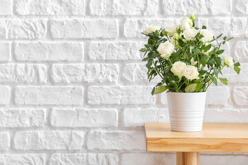 Beautiful white roses in pot on shelf near brick wall