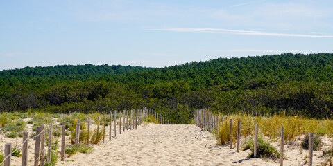 Fototapeta na wymiar Scenic dunes panorama on bright summer day view on pines forest in Lacanau ocean beach