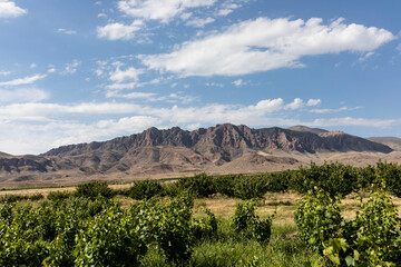 Landscape with mountains
