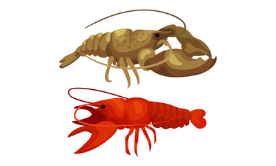 Lobster as Large Marine Crustacean with Muscular Tail and Claw Pair Vector Set