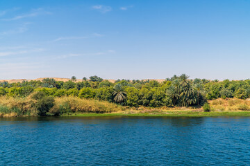 Obraz premium Panoramic view of fertile vegetation along the banks of the Nile River near Edfu, Egypt