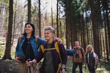 Group of seniors hikers outdoors in forest in nature, walking.