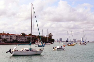 Fototapeta na wymiar Sailboats Moored on Sunset Harbor in Miami Beach,Florida