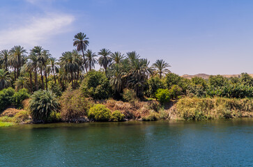 Panoramic view of fertile vegetation along the banks of the Nile River near Edfu, Egypt