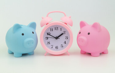 Pink alarm clock and blue and pink piggy banks. Save money, choose fund and time concept.