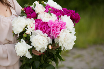 Beautiful bouquet of peonies in female hands in nature 