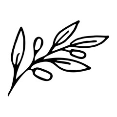Vector illustration of a branch of olives in doodle style