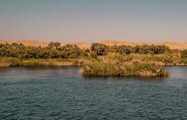 Sunset panorama view of the shores of the Nile River with palm trees and vegetation near Edfu, Egypt