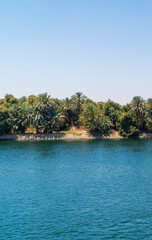Vertical view of fertile vegetation along the banks of the Nile River near Edfu, Egypt