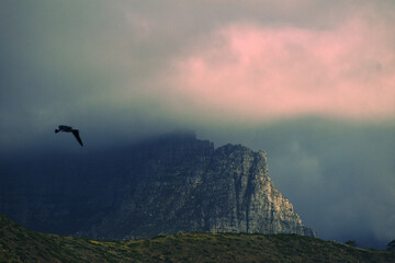 Table Mountain Viewed At An Angle